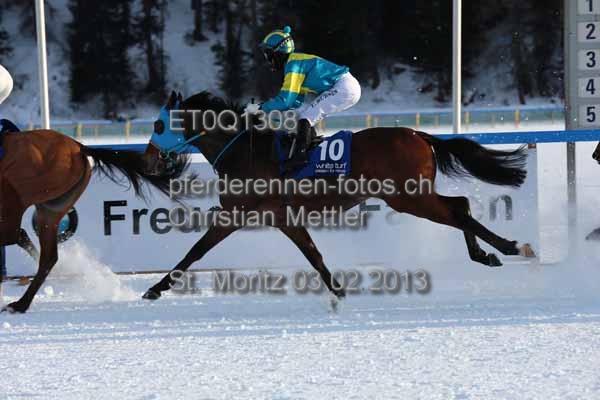ET0Q1308 prot
